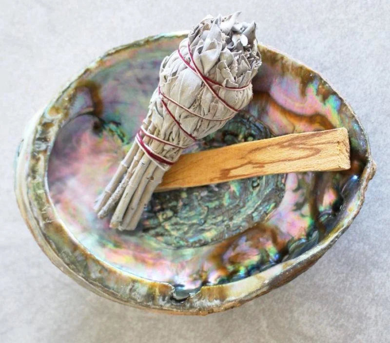 Abalone Shell Smudging Bowl | Taos Herb Co. - Incense Smudge