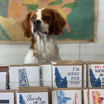 A dog sits behind a display of Bluebonnets Here For You Cards by Anvil Cards, with a map of the United States on the wall in the background.