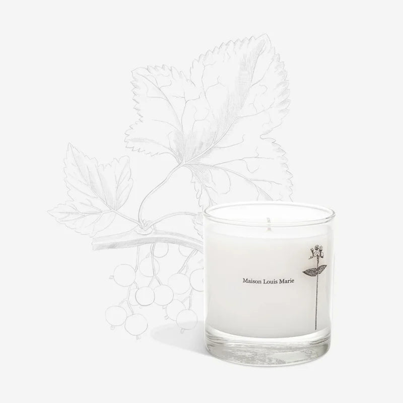 Candle | Antidris- Cassis | Maison Louis Marie - Candles -
