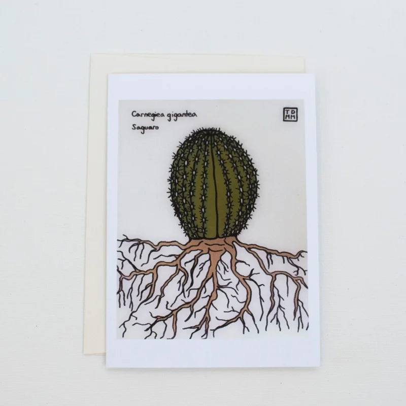 Greeting Card | Baby Saguaro | Sonoran Witch Boy - Cards