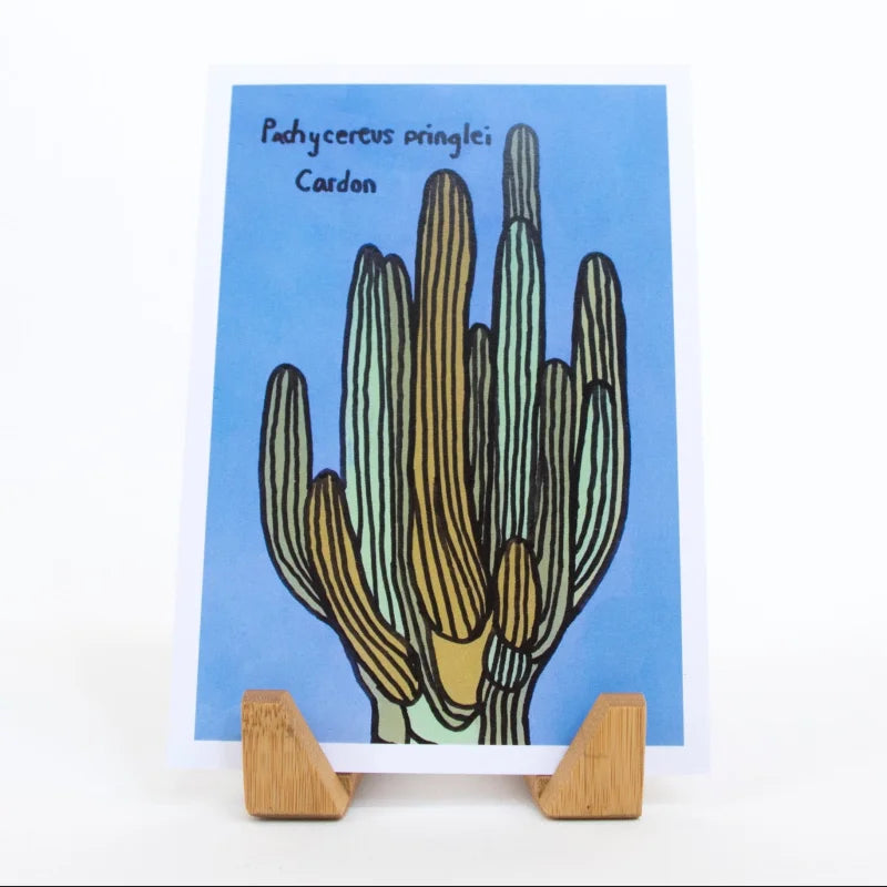 Greeting Card | Cardon Cactus | Sonoran Witch Boy - Cards