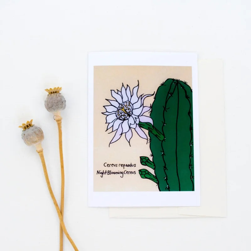 Greeting Card | Cereus Cactus | Sonoran Witch Boy - Cards
