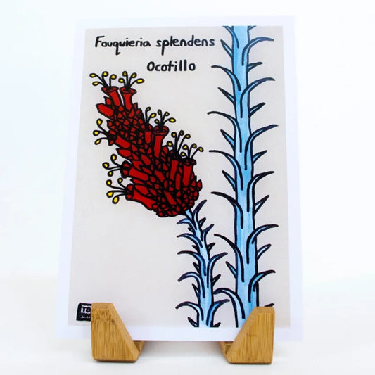 Greeting Card | Ocotillo | Sonoran Witch Boy - Cards