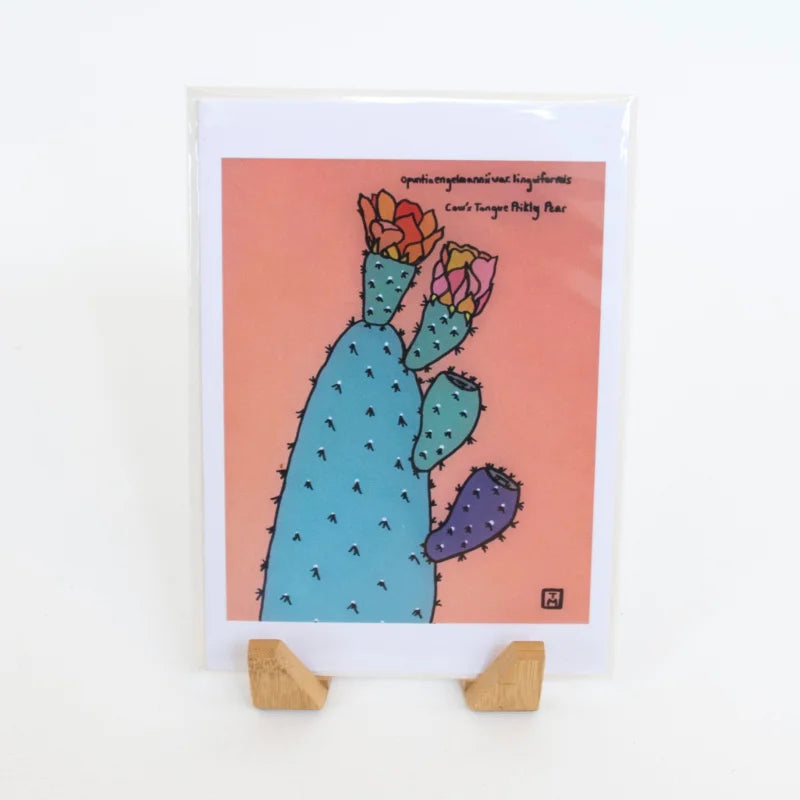 Greeting Card | Prickly Pear | Sonoran Witch Boy - Cards