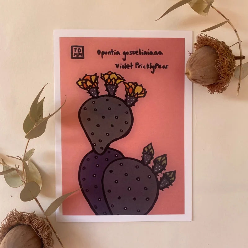 Greeting Card | Violet Prickly Pear | Sonoran Witch Boy -