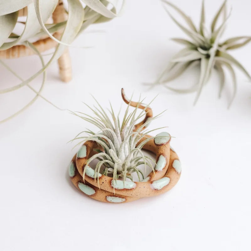 Medium Ceramic Snake | Carter & Rose - Selma - Home Goods -