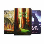 The Field Notes National Parks Pack features three memo books with illustrated covers of stunning park scenes, standing upright against a white background; part of the popular Field Notes series.