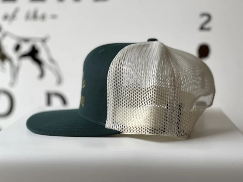 Shop Hat | Arch Logo Ballad Of The Bird Dog - Accessories