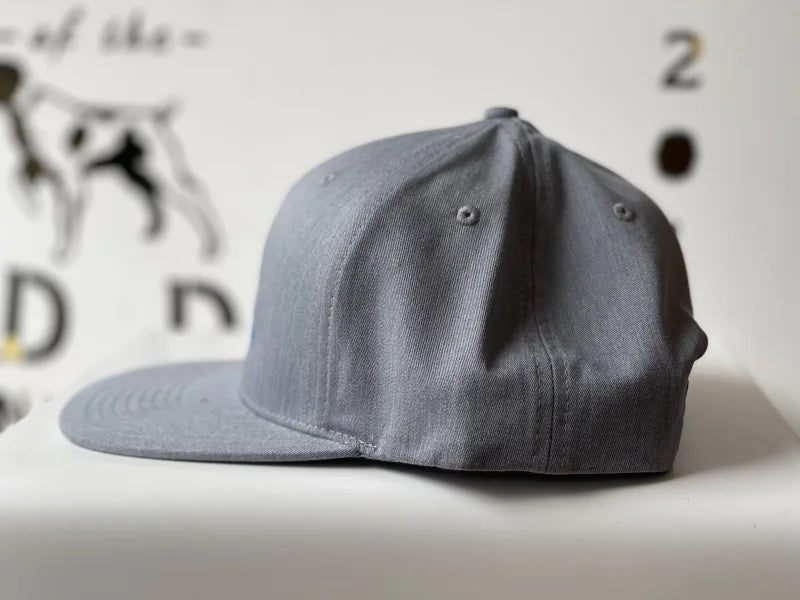 Shop Hat | Blue Curve Logo | Ballad Of The Bird Dog -