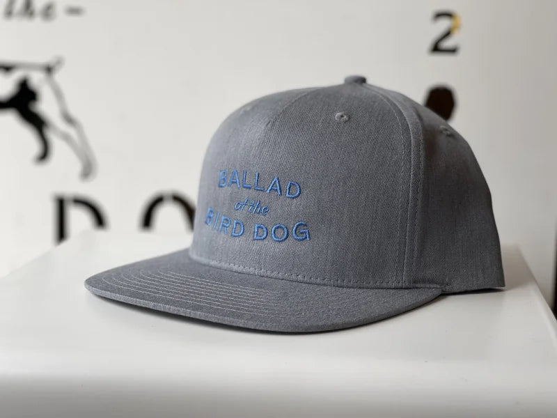 Shop Hat | Blue Curve Logo | Ballad Of The Bird Dog -