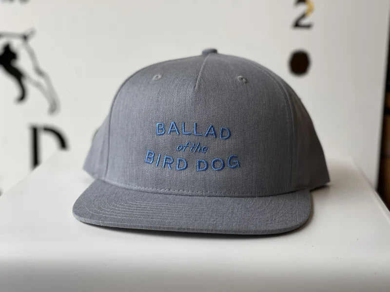 Shop Hat | Blue Curve Logo | Ballad Of The Bird Dog -