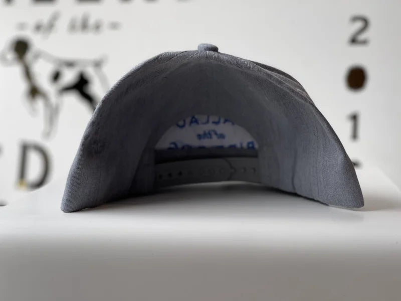 Shop Hat | Blue Curve Logo | Ballad Of The Bird Dog -