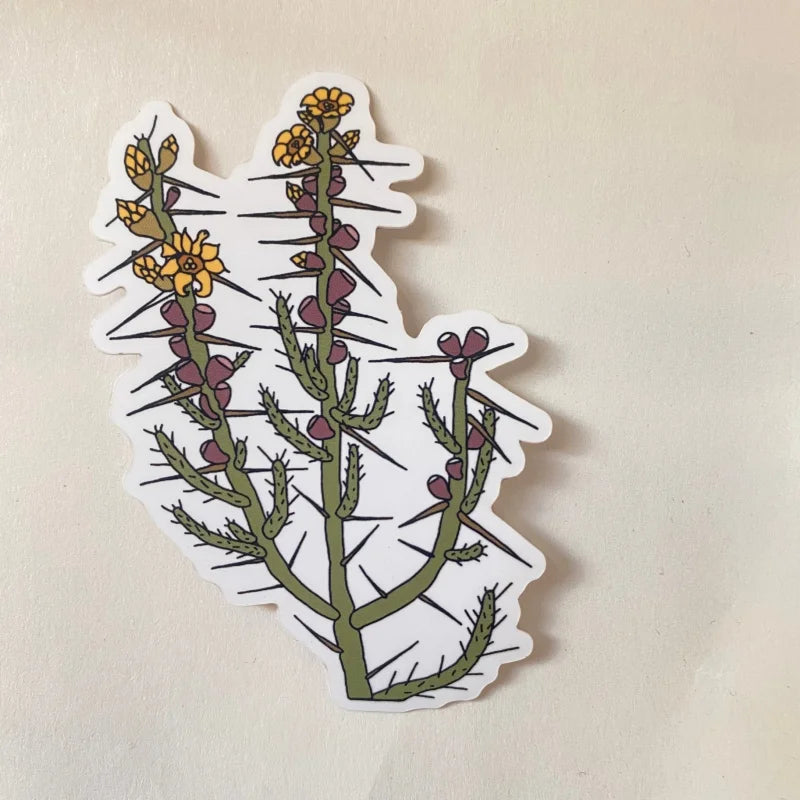 Sticker | Christmas Cactus | Sonoran Witch Boy - Stickers