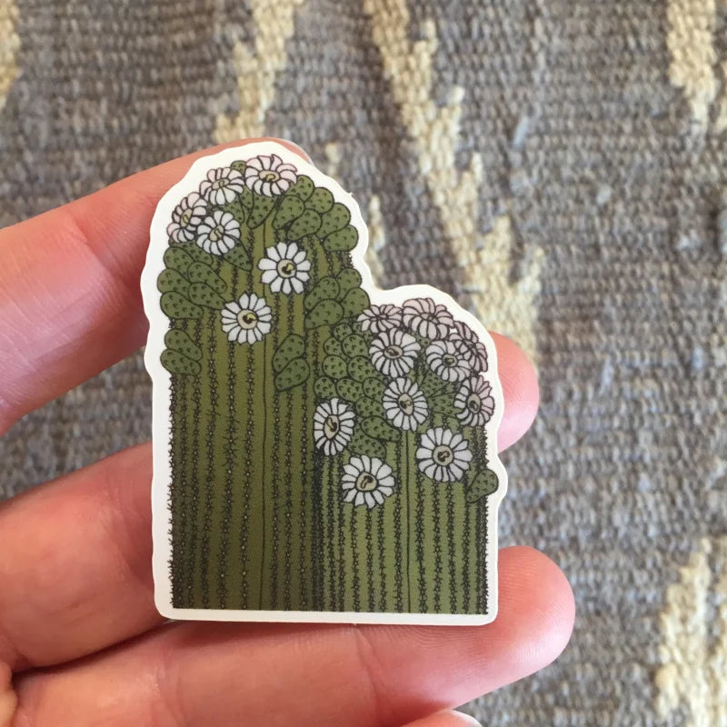 Sticker | Double Saguaro | Sonoran Witch Boy - Stickers